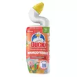 Duck Aktiv-Gel Wc Mango-Verse - Kodin pesuaineet - 5000204366518 - 1