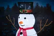 Finnlumor lumiukko 80led 90cm - Jouluvalot - 6410416082288 - 12
