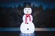 Finnlumor lumiukko 80led 90cm - Jouluvalot - 6410416082288 - 14