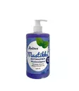 Hoitava Nestesaippua 500ml Mustikka - Nestesaippuat - 6417037109158 - 1