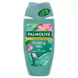 Palmolive Suihkusaippua 250ml Revitalize - Ihokarvanpoisto ja parranajo - 8718951430198 - 1