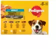 Pedigree Adult Siipikarja laj. 12x100g - Koiran märkäruoat - 5900951320408 - 1