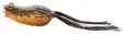 Savage Gear Hop Popper Frog 5,5cm 15g - Ruohikko vieheet - 5706301774408 - 1