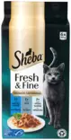 Sheba Fresh& Fine Kalalajitelma kastikkeessa MSC 6x50g - Kissan märkäruoat - 4770608266028 - 1