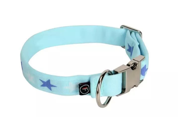 BAMBINO Panta koiralle sininen M - Koiran tarvikkeet - 6438406009398 - 1