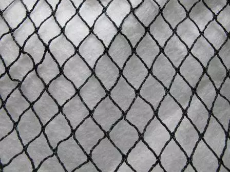 Lintuverkko pro 4x5m - Tuhoeläinten ja rikkakasvien torjunta - 6430040629598 - 1