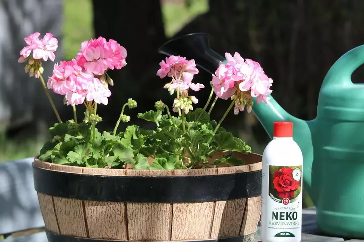 Neko Kasviravinne 250ml - Sisäkukkien ja huonekasvien ravinteet - 6418669000028 - 1