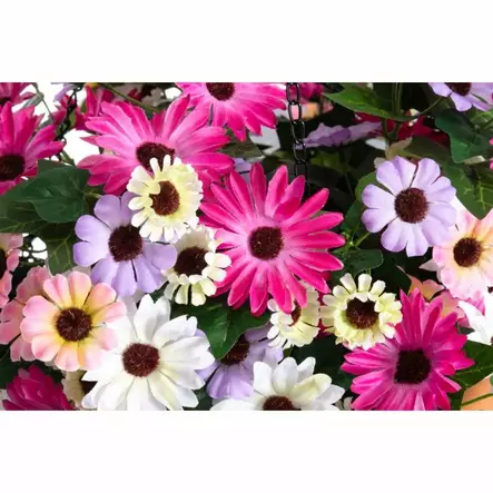 4Living Tähtisilmä amppeli - Tekokasvit ja -kukat - 6410416437149 - 2