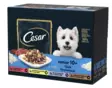 Cesar Senior 10+ annospussilaj.12x100g - Koiran märkäruoat - 8410136027369 - 2