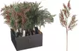 Koristeoksa marjoilla, 62cm - Sisustusesineet - 8721461166969 - 1