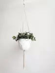 Naruamppeli 80cm - Naruamppelit - 6438159303019 - 1