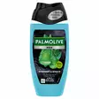 Palmolive Men Shower&Shave suihkusaippua - Suihkugeelit- ja saippuat - 8718951764309 - 1