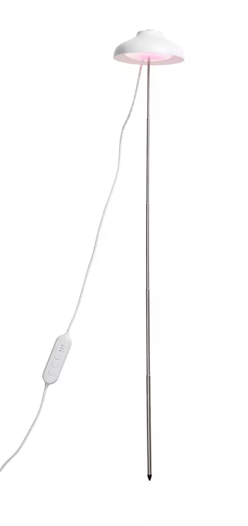 Airam kasvivalo Iris 5W/835 240LM valk. - Kasvivalot - 6435200292629 - 1