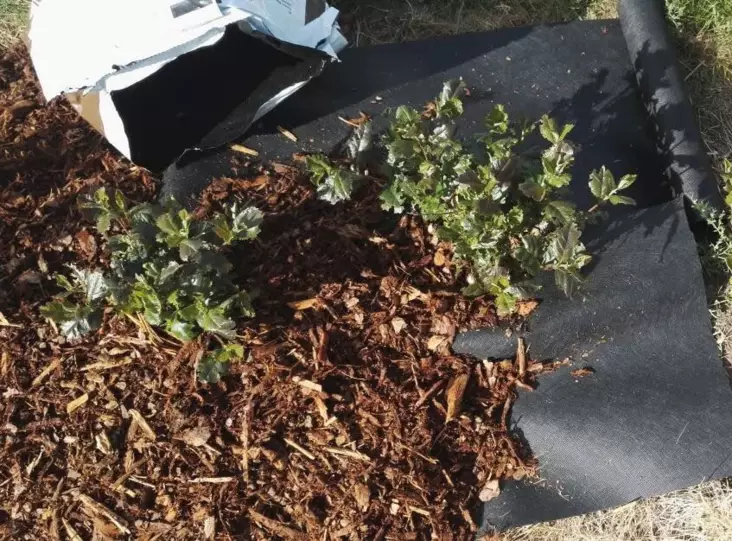 Aitakangas 0,4X15m - Piha- ja rakennuskangas - 6430040628539 - 1