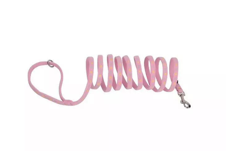 BAMBINO Talutin koiralle/ kissalle 250cm - Koiran tarvikkeet - 6438406006489 - 1