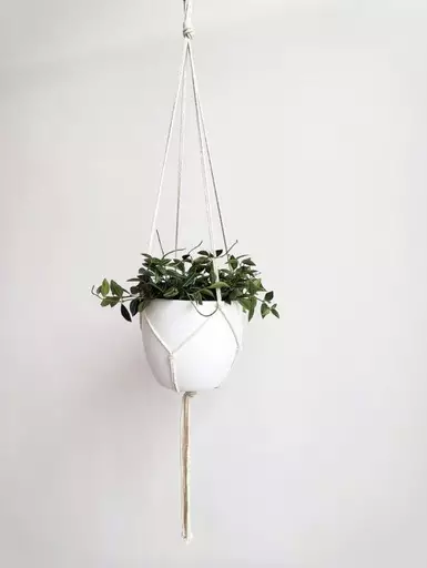 Naruamppeli 80cm - Naruamppelit - 6438159303019 - 1