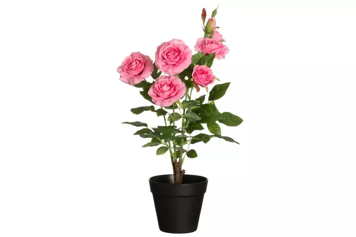 Ruusu isokukkainen ruukussa vaalp. 49cm - Tekokasvit ja -kukat - 6410416435879 - 3