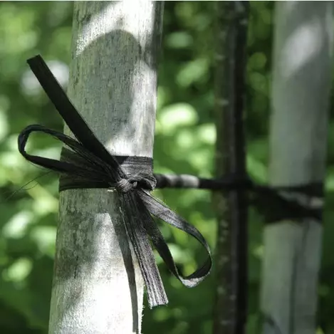 Tervanauha 15MMX10M - Kasvien ja pensaiden tuet ja kehikot - 6430068430459 - 1